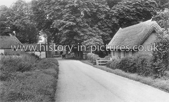 The Mill, Felstead, Essex. c.1940's